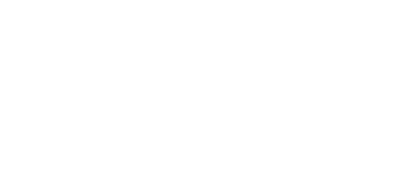 papleaロゴ